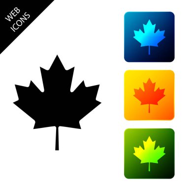Kanada akçaağaç yaprağı simgesi beyaz arka plan üzerinde izole. Kanada sembol akçaağaç yaprağı. Simgeleri renkli kare düğmeleri ayarlayın. Vektör İllüstrasyonu