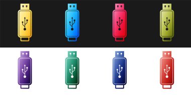 USB flash disk simgesini siyah ve beyaz arkaplanda izole et. Vektör