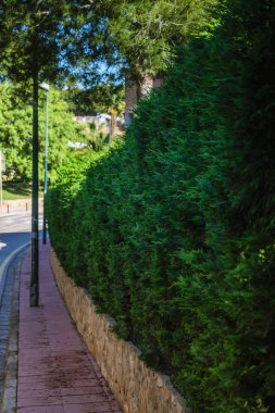 Bir Lloret de mar şehir manzaraları. Costa Brava İspanya tatil. Yaz zamanı.