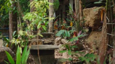 Budist rahipler Tayland 'daki Khao Phang Manastırı' nda bir çana vurarak tipik bir ayin yapıyorlar - 4K yatay.