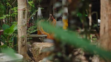 Khao Phang Manastırı 'nda iki Budist keşiş, tahta bir çekiçle metal zile vuruyor. 4K yatay.