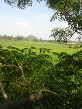 Doğanın güzel manzarası