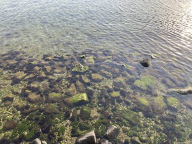 Dalgalar ve suyla güzel deniz kıyıları