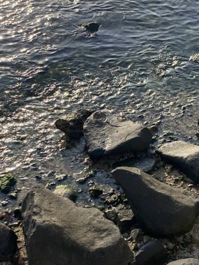 Kayalar ve dalgalarla dolu güzel bir sahil.