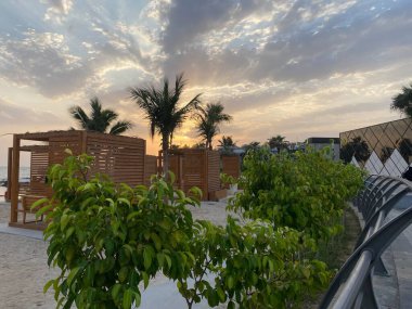 Palmiye ağaçları ve denizi olan güzel tropikal plajlar