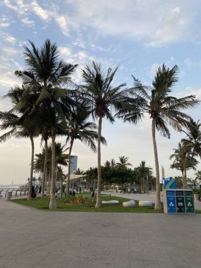 Adanın güzel manzarası