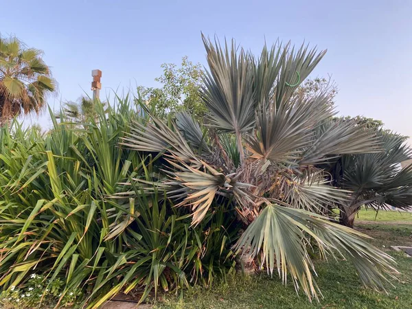 Parkın güzel manzarası