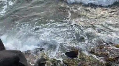 Güzel deniz kıyısı. doğa arkaplanı