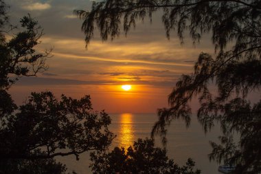 Güneşin okyanustaki yansıması. Çuvaldaki ağaç dalları