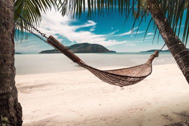 hammock in the shade of palm trees on a tropical beach clipart