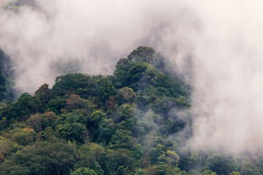 Dağlar ve bulutlar. Yağmur bulutlarıyla kaplı sihirli dağlar.