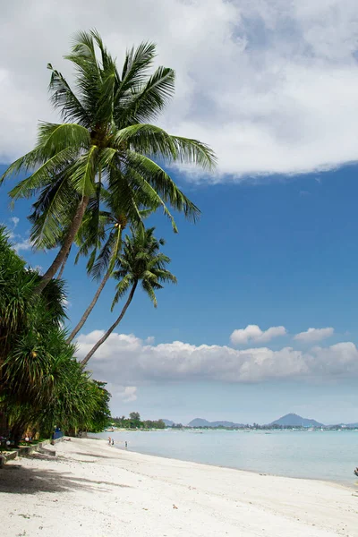 Playa Paradisíaca Tropical Con Hermosa Arena Blanca Cocoteros Concepto Una — Foto de Stock