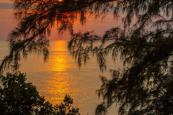 Die Reflexion Der Sonne Ozean Äste Auf Dem Hintergrund Des — Stockfoto