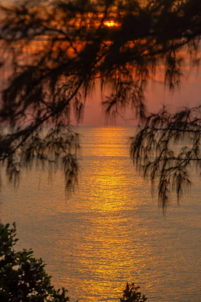 Die Reflexion Der Sonne Ozean Äste Auf Dem Hintergrund Des — Stockfoto