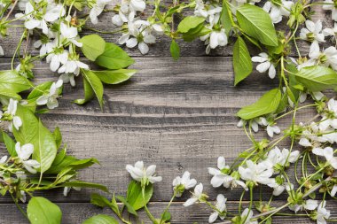 en az bahar kavramı, arka plan, beyaz çiçekli dallar kiraz çiçek açması gri kurullarında