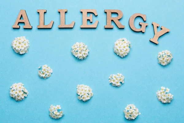 På en blå bakgrund finns det en massa vita blomställningar, ordet allergi är anlagd i den övre delen av bilden — Stockfoto