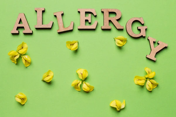 Ordet allergi är anlagd på en grön bakgrund, gula blommor är utspridda i närheten, minimal konceptet — Stockfoto