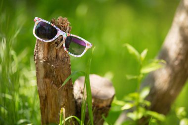 Çocuk gözlük güneş olayları, yeşil çim çevresinde yeşil bir arka plan üzerinde bir ağaç kütüğü bir kavram saniye
