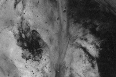 Soyut mürekkep arkaplanı. Mermer tarzı. Beyaz kağıda siyah boya dokusu. Ağ ve oyun tasarımı için duvar kağıdı. Grunge çamur sanatı. Kalem suyunun makro resmi. Koyu Smear.