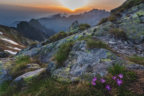 Yüksek Tatras Dağları Ulusal Doğa Parkı — Stok fotoğraf