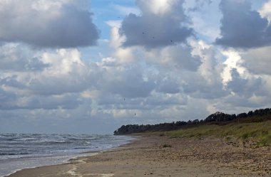 Litvanya Baltic coast güzel arsa. Su alan liman Klaipeda, Litvanya.