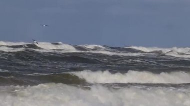 Fırtına ve Baltık Denizi üzerinde. Klaipeda, Litvanya'nın bağlantı noktasının alan su. Arka plan Rüzgar, Batı yönü gösteren 8-10 m/s ile Rüzgarlar 17 m/s.