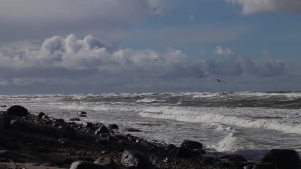 Tempestade Mar Báltico Área Água Porto Klaipeda Lituânia Vento Fundo — Vídeo de Stock