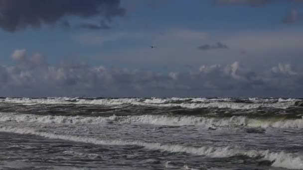 Θύελλα Στη Βαλτική Θάλασσα Θαλάσσια Περιοχή Από Λιμάνι Της Κλαϊπέντα — Αρχείο Βίντεο