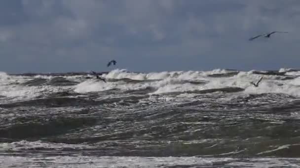 Tempête Sur Mer Baltique Eaux Port Klaipeda Lituanie Vent Fond — Video