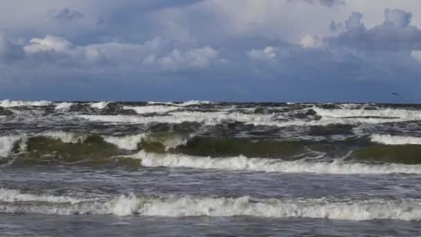 Θύελλα Στη Βαλτική Θάλασσα Θαλάσσια Περιοχή Από Λιμάνι Της Κλαϊπέντα — Αρχείο Βίντεο