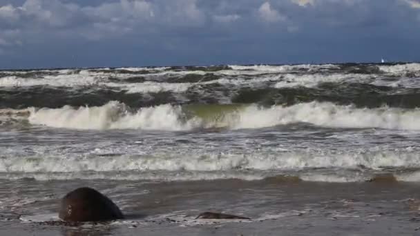 Tempestade Mar Báltico Área Água Porto Klaipeda Lituânia Vento Fundo — Vídeo de Stock