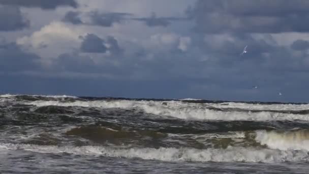 Storm Östersjön Vatten Område Hamnen Klaipeda Litauen Bakgrunden Vinden Västra — Stockvideo