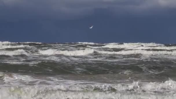 Tempête Sur Mer Baltique Eaux Port Klaipeda Lituanie Vent Fond — Video