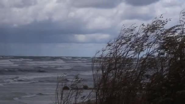 波罗的海上的风暴 立陶宛 Klaipeda 港的水域 西方方向的背景风是8 阵风高达17毫米 — 图库视频影像