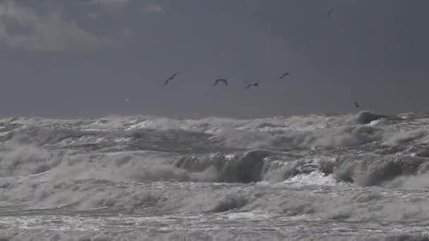 Storm Östersjön Vatten Område Hamnen Klaipeda Litauen Bakgrunden Vinden Västra — Stockvideo