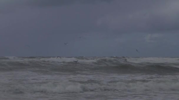 Tempête Sur Mer Baltique Eaux Port Klaipeda Lituanie Vent Fond — Video