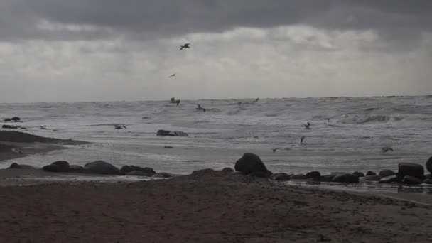 Sztorm Bałtyku Woda Powierzchnia Portu Kłajpedzie Litwa Tło Wiatr Kierunków — Wideo stockowe