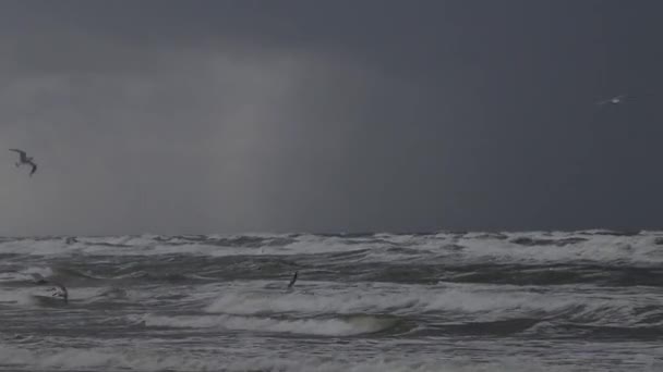 Буря Узбережжі Балтійського Моря Вода Районі Порт Клайпеда Литва Фон — стокове відео