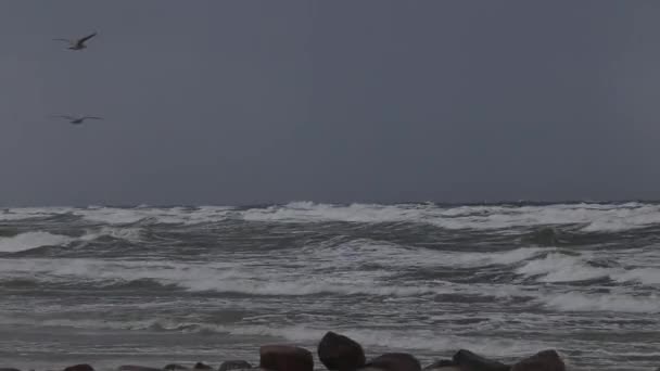 Storm Baltische Zee Water Gebied Van Haven Van Klaipeda Litouwen — Stockvideo