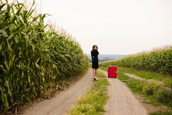 Bagaj yeşil mısır sahada güzel esmer Bayan 
