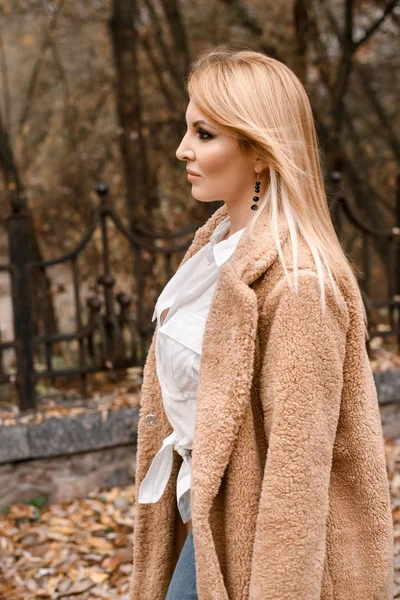 Young Beautiful Woman Posing Autumn Park — Stock Photo, Image