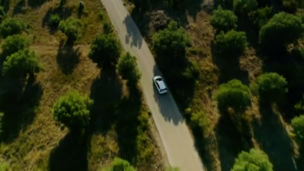 Повітряний постріл сучасний білий автомобіль швидко рухається по асфальтовому шосе в оточенні зелених дерев і полів — стокове відео
