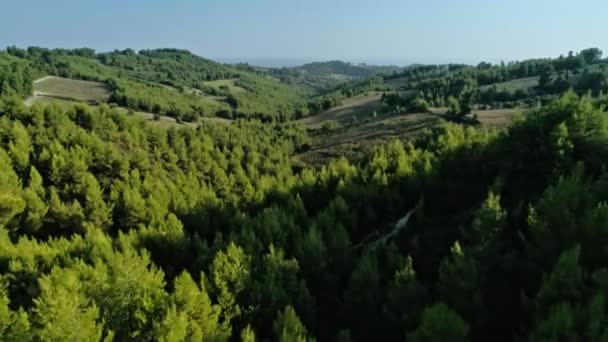 Tiro aéreo voando sobre belo vale natural com altas montanhas e incrível floresta verde — Vídeo de Stock