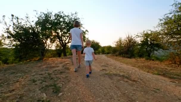 ビュー ハイカー アクティブ母と夕暮れの田舎道を歩いて楽しんで幸せの小さな息子をバックアップします。 — ストック動画