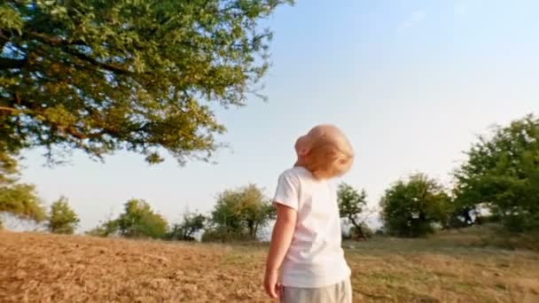 Curieux petit garçon levant la tête et contemplant le haut arbre au coucher du soleil angle bas — Video