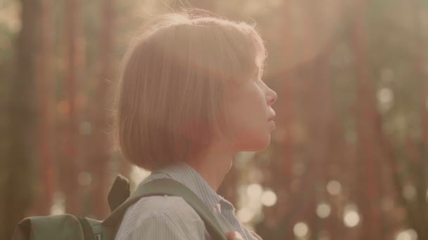 Begeisterte junge Touristin bewundert Sommerwald mit Sonnenblende aus nächster Nähe — Stockvideo