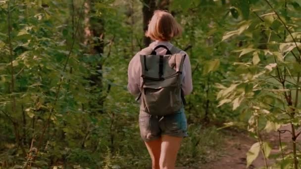 Donna turistica attiva che indossa lo zaino che si muove sul sentiero forestale nella giornata estiva — Video Stock