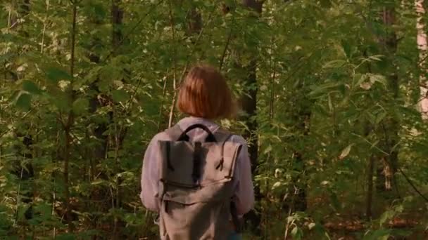 Активная женщина-путешественница, идущая по лесной тропинке, окруженная зелеными напряженными деревьями с листьями — стоковое видео