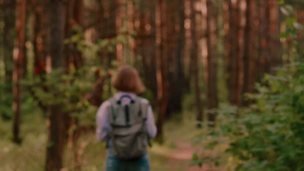 Вид ззаду повільно рухається безтурботним рюкзаком молода жінка на густому літньому лісі депортувалася — стокове відео