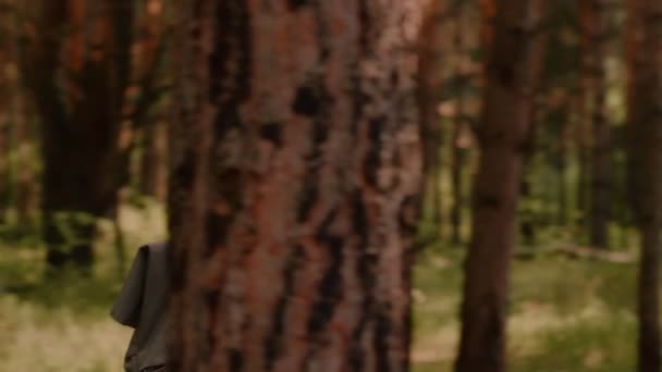 Красивая европейская женщина в рюкзаке ходить в окружении деревьев в летнем лесу — стоковое видео
